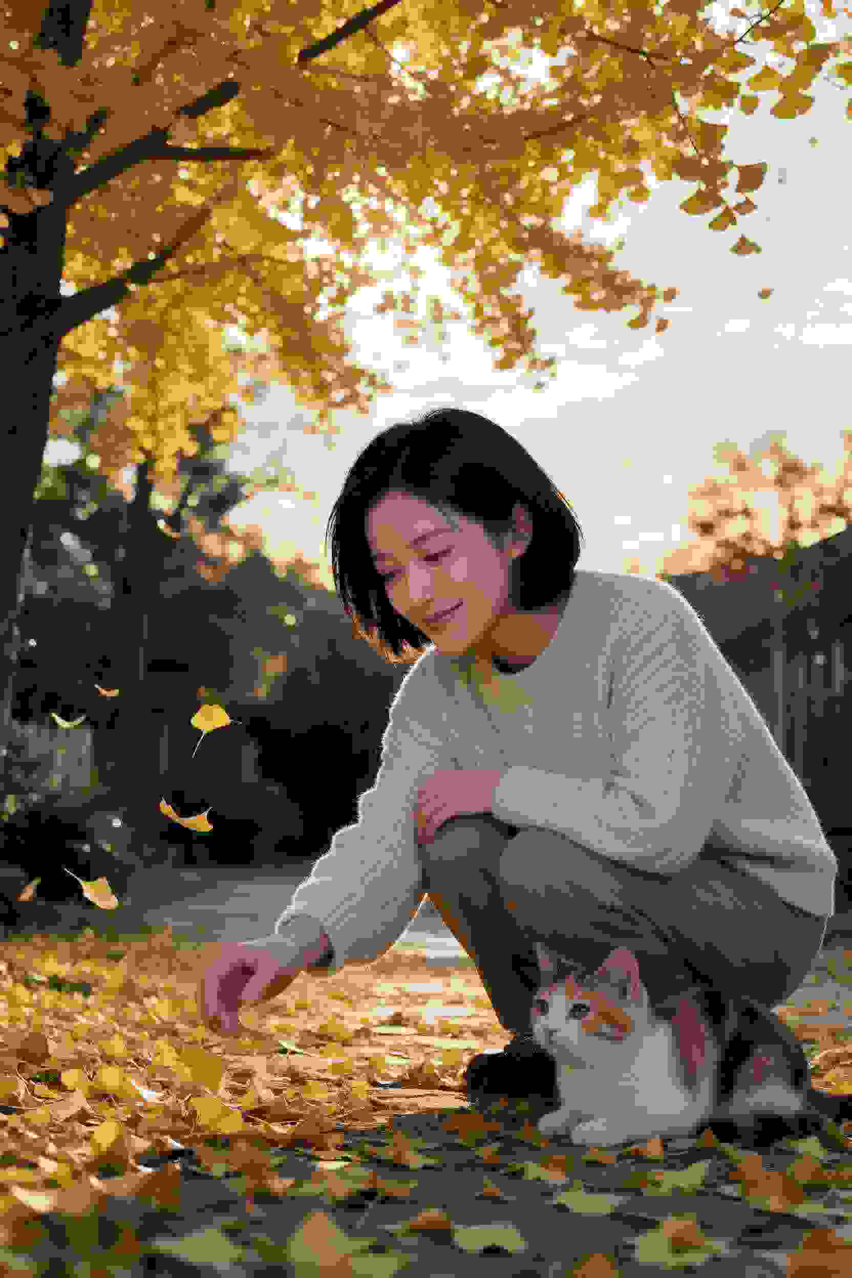 校园青春录